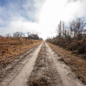 Photo #24 of SOLD property in Off North Lake Rd, Fairfield, NC 11,600.0 acres