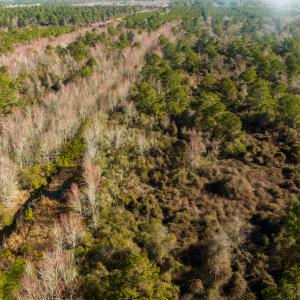 Photo #27 of SOLD property in Off North Lake Rd, Fairfield, NC 11,600.0 acres