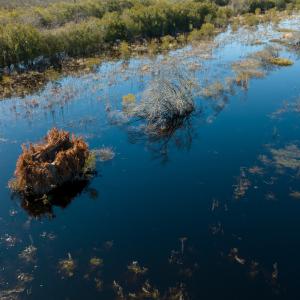 Photo #28 of SOLD property in Off North Lake Rd, Fairfield, NC 11,600.0 acres