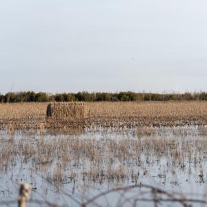 Photo #29 of SOLD property in Off North Lake Rd, Fairfield, NC 11,600.0 acres