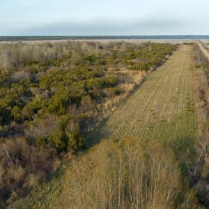 Photo #31 of SOLD property in Off North Lake Rd, Fairfield, NC 11,600.0 acres