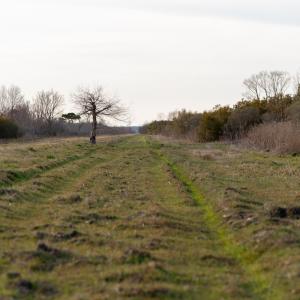 Photo #32 of SOLD property in Off North Lake Rd, Fairfield, NC 11,600.0 acres