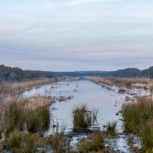 Photo #36 of SOLD property in Off North Lake Rd, Fairfield, NC 11,600.0 acres