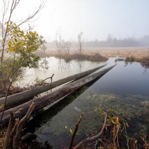 Photo #45 of SOLD property in Off North Lake Rd, Fairfield, NC 11,600.0 acres