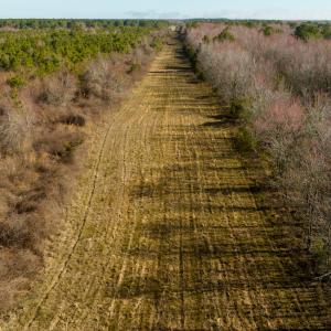 Photo #46 of SOLD property in Off North Lake Rd, Fairfield, NC 11,600.0 acres