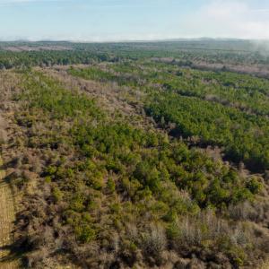 Photo #47 of SOLD property in Off North Lake Rd, Fairfield, NC 11,600.0 acres