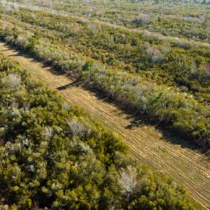 Photo #48 of SOLD property in Off North Lake Rd, Fairfield, NC 11,600.0 acres