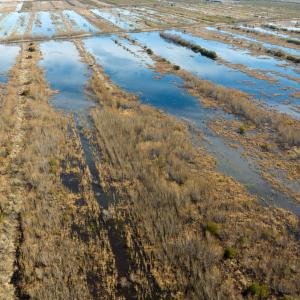 Photo #52 of SOLD property in Off North Lake Rd, Fairfield, NC 11,600.0 acres