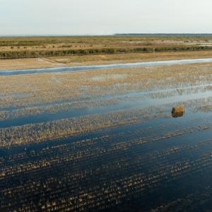 Photo #62 of SOLD property in Off North Lake Rd, Fairfield, NC 11,600.0 acres