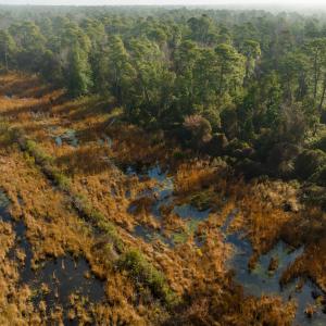 Photo #67 of SOLD property in Off North Lake Rd, Fairfield, NC 11,600.0 acres