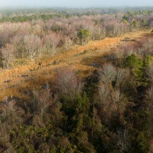 Photo #68 of SOLD property in Off North Lake Rd, Fairfield, NC 11,600.0 acres