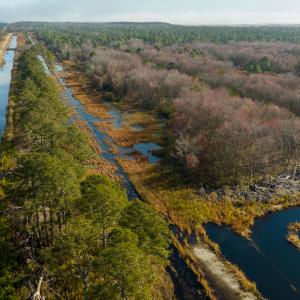Photo #69 of SOLD property in Off North Lake Rd, Fairfield, NC 11,600.0 acres