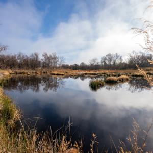 Photo #71 of SOLD property in Off North Lake Rd, Fairfield, NC 11,600.0 acres