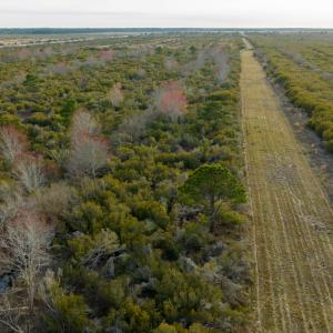 Photo #78 of SOLD property in Off North Lake Rd, Fairfield, NC 11,600.0 acres