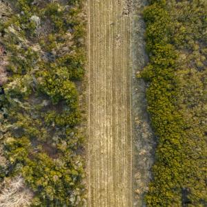 Photo #79 of Off North Lake Rd, Fairfield, NC 11,600.0 acres