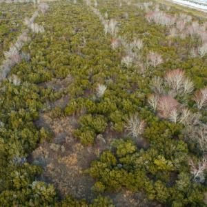 Photo #80 of Off North Lake Rd, Fairfield, NC 11,600.0 acres