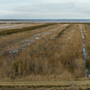 Photo #81 of SOLD property in Off North Lake Rd, Fairfield, NC 11,600.0 acres