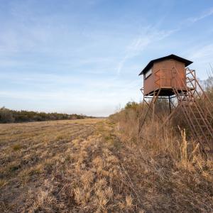 Photo #85 of SOLD property in Off North Lake Rd, Fairfield, NC 11,600.0 acres