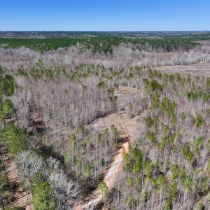 Photo #2 of SOLD property in 05 Beamon Hunt Rd, Warrenton, NC 23.7 acres