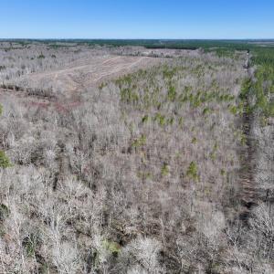 Photo #11 of SOLD property in 05 Beamon Hunt Rd, Warrenton, NC 23.7 acres