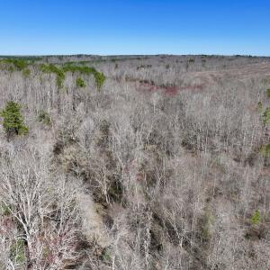 Photo #12 of SOLD property in 05 Beamon Hunt Rd, Warrenton, NC 23.7 acres