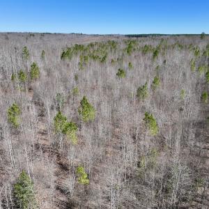 Photo #13 of SOLD property in 05 Beamon Hunt Rd, Warrenton, NC 23.7 acres
