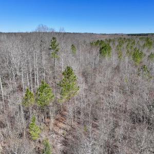 Photo #14 of SOLD property in 05 Beamon Hunt Rd, Warrenton, NC 23.7 acres
