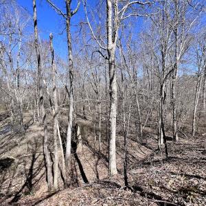 Photo #16 of SOLD property in 05 Beamon Hunt Rd, Warrenton, NC 23.7 acres