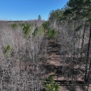 Photo #17 of SOLD property in 05 Beamon Hunt Rd, Warrenton, NC 23.7 acres
