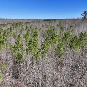 Photo #18 of SOLD property in 05 Beamon Hunt Rd, Warrenton, NC 23.7 acres