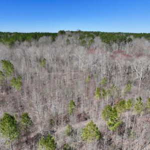 Photo #19 of SOLD property in 05 Beamon Hunt Rd, Warrenton, NC 23.7 acres