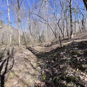 Photo #20 of SOLD property in 05 Beamon Hunt Rd, Warrenton, NC 23.7 acres