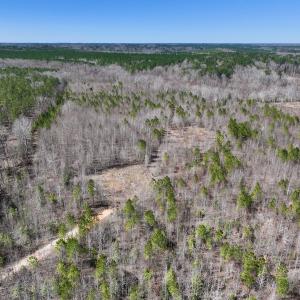 Photo #3 of SOLD property in 05 Beamon Hunt Rd, Warrenton, NC 23.7 acres