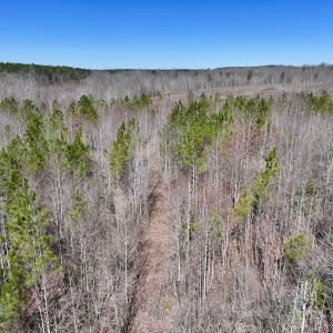 Photo #22 of SOLD property in 05 Beamon Hunt Rd, Warrenton, NC 23.7 acres