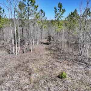 Photo #23 of SOLD property in 05 Beamon Hunt Rd, Warrenton, NC 23.7 acres