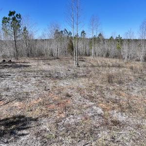 Photo #24 of SOLD property in 05 Beamon Hunt Rd, Warrenton, NC 23.7 acres