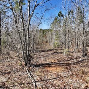 Photo #25 of SOLD property in 05 Beamon Hunt Rd, Warrenton, NC 23.7 acres