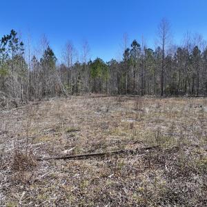 Photo #26 of SOLD property in 05 Beamon Hunt Rd, Warrenton, NC 23.7 acres