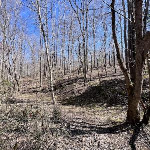Photo #28 of SOLD property in 05 Beamon Hunt Rd, Warrenton, NC 23.7 acres