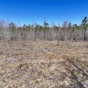 Photo #29 of SOLD property in 05 Beamon Hunt Rd, Warrenton, NC 23.7 acres