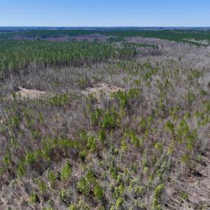 Photo #4 of SOLD property in 05 Beamon Hunt Rd, Warrenton, NC 23.7 acres