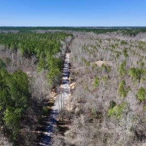 Photo #35 of SOLD property in 05 Beamon Hunt Rd, Warrenton, NC 23.7 acres