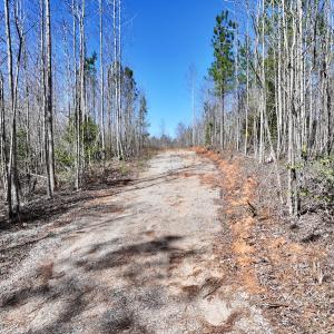 Photo #36 of SOLD property in 05 Beamon Hunt Rd, Warrenton, NC 23.7 acres