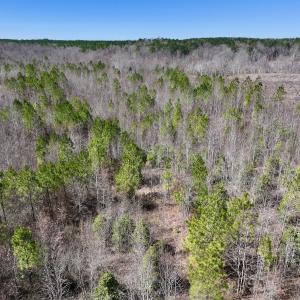 Photo #6 of SOLD property in 05 Beamon Hunt Rd, Warrenton, NC 23.7 acres