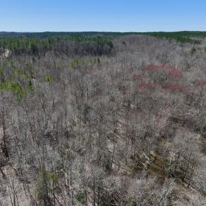Photo #7 of SOLD property in 05 Beamon Hunt Rd, Warrenton, NC 23.7 acres