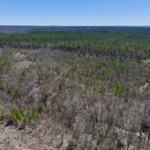 Photo #8 of SOLD property in 05 Beamon Hunt Rd, Warrenton, NC 23.7 acres