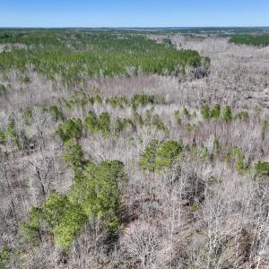 Photo #11 of SOLD property in Off NC Highway 43, Macon, NC 5.0 acres