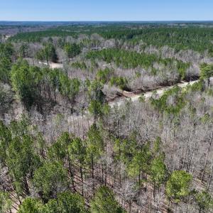 Photo #12 of SOLD property in Off NC Highway 43, Macon, NC 5.0 acres