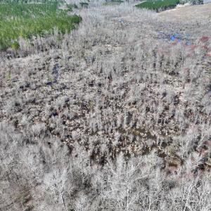 Photo #14 of SOLD property in Off NC Highway 43, Macon, NC 5.0 acres