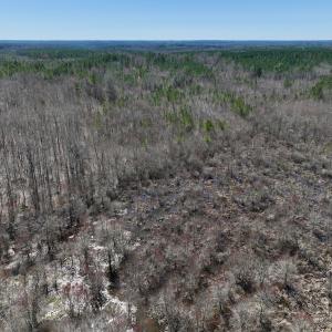 Photo #16 of SOLD property in Off NC Highway 43, Macon, NC 5.0 acres
